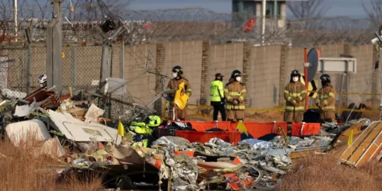 Zuid-Korea: Oorzaak van fatale vliegtuigcrash onderzocht; vogelslag onder de loep