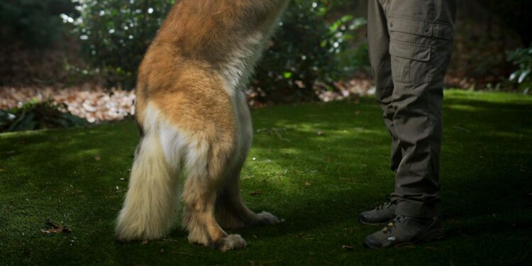 ‘Het kabinet staat niet te trappelen om de circulaire economie vorm te geven’