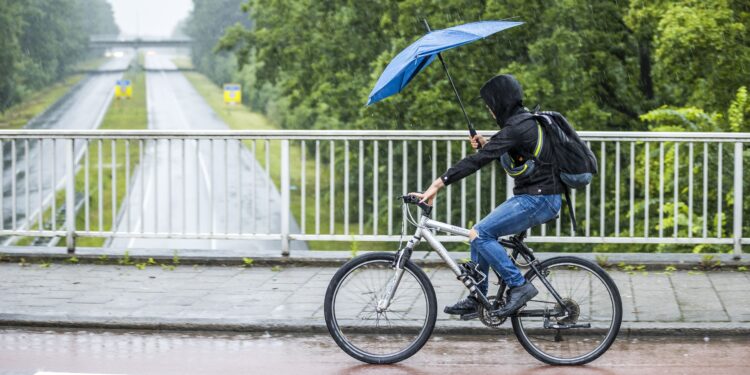 Net als vorig jaar was 2024 een nat jaar: ‘Twee jaar zoveel regen achter elkaar is uniek’