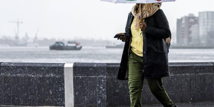 Week begint grijs en bewolkt, daarna (een beetje) kans op zon