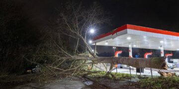 19-jarige fietser overleden door omvallende boom in Lochem