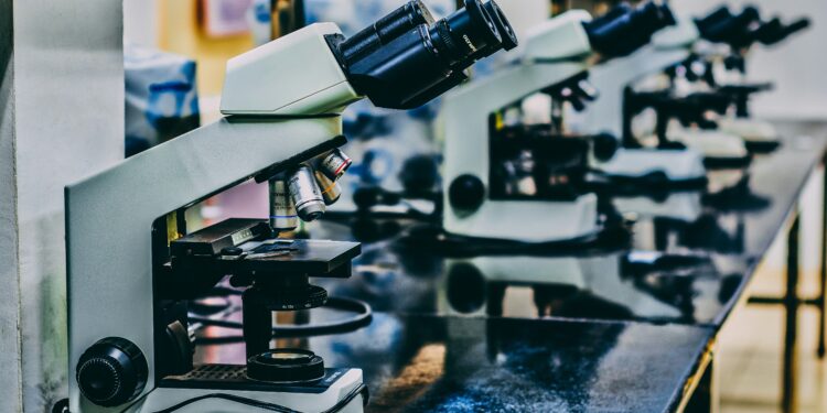 AVL-ziekenhuis probeert kankerbehandeling te ontwikkelen zónder farmaceutische industrie: ‘Wereldwijd unicum’