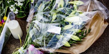 Verdachte mesaanval Erasmusbrug: ‘Ik zat in psychose’
