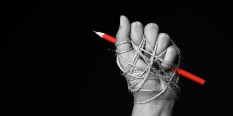 Meer journalisten in Nederland geconfronteerd met bedreigingen in 2024