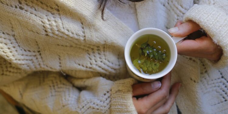 De helende kracht van vrouwelijke kruiden in uw kring.