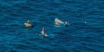 Dodelijke vliegtuigcrash in Australië: beide inzittenden overleden