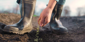 Kanker risico onder Grieken: Onder hun voeten