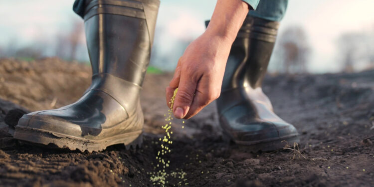 Kanker risico onder Grieken: Onder hun voeten