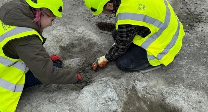 Ontdekking van de Britse Dinosaur Highway