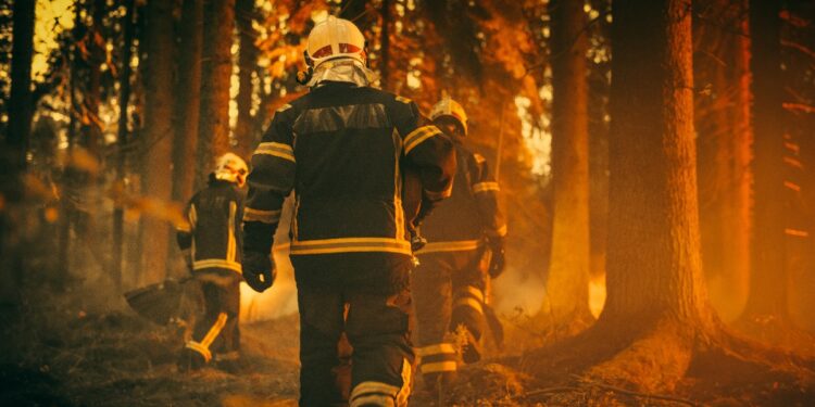 Noodsituatie in Los Angeles door giftige bosbranddampen.