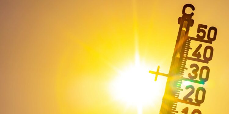 2024: Recordhittegolven maken het het warmste jaar ooit gemeten