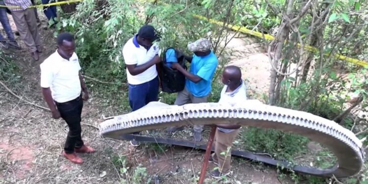 Gigantisch ruimteafval van 500 kg valt in Keniaans dorp.