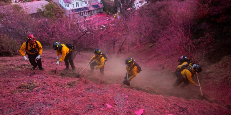 Verwoestende branden in Los Angeles: 24 doden en 250 miljard schade