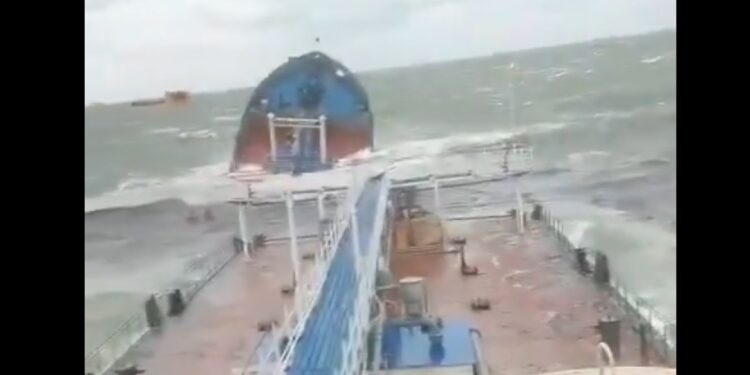 Dertig dwergvinvissen dood na zinken olietankers in Zwarte Zee