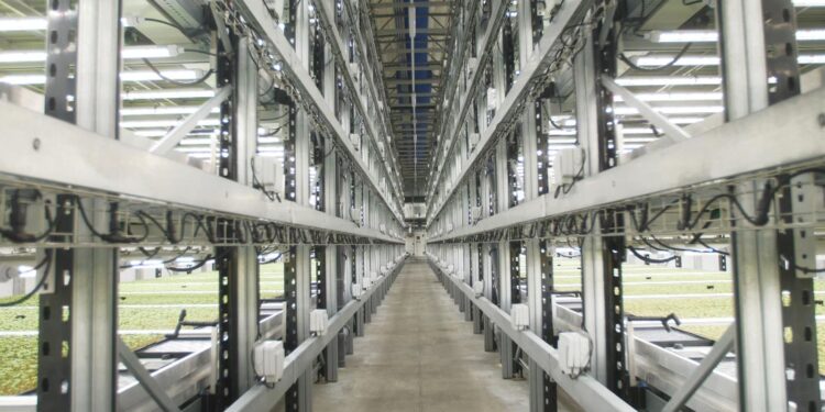 De toekomst van landbouw? Ontdek Europa’s grootste verticale boerderij.