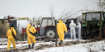 Verbod op import Duitse dieren om mond- en klauwzeer te voorkomen