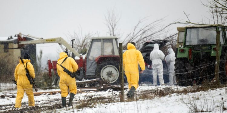Verbod op import Duitse dieren om mond- en klauwzeer te voorkomen