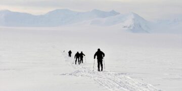 Identificatie op Antarctica: Sporen op het IJs