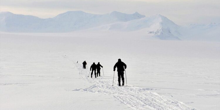 Identificatie op Antarctica: Sporen op het IJs