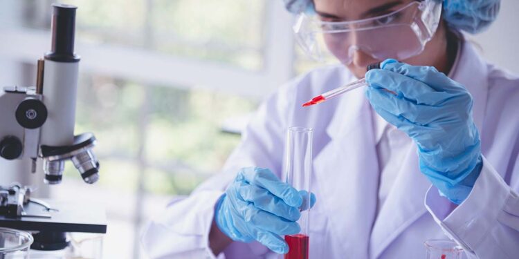 Nieuwe bat coronavirus overdraagbaar op mens ontdekt door Chinese onderzoekers