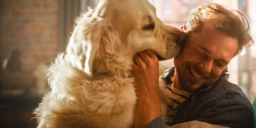 Hond kalmeert angstige passagiers op luchthaven