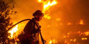 Waarschuwing voor gevaarlijke klimaatverandering na heetste januari ooit gemeten