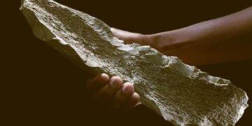 1,5 miljoen jaar geleden: Mensen maakten botgereedschap