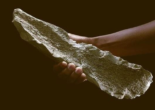 1,5 miljoen jaar geleden: Mensen maakten botgereedschap