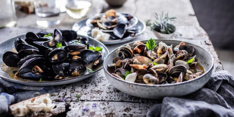 Van truffeljacht tot goddelijke wijn: ontdek de Kroatische culinaire tour.