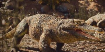 De oudst bekende krokodillen voorouder ontdekt: de Adam van krokodillen