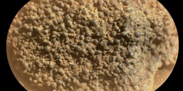 Ontdekking van mysterieuze Marsrots met mogelijk levenwekkende ‘spinneneieren’