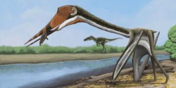 Onbekende pherosaurussen ontdekt in Noord-Amerika