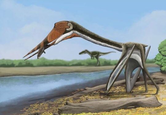 Onbekende pherosaurussen ontdekt in Noord-Amerika