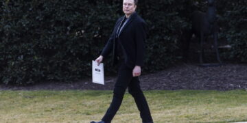 Consultant Trump masker: stommer dan bakstenen