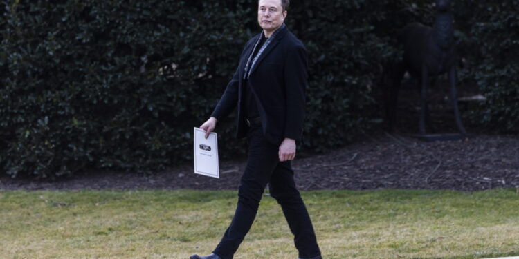 Consultant Trump masker: stommer dan bakstenen