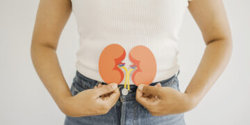 Immunosuppressieve medicijnen verlengen levensduur na niertransplantatie.