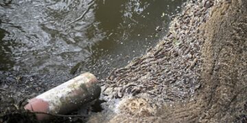 Waterbazen riskeren twee jaar cel voor illegale riooloverloop.