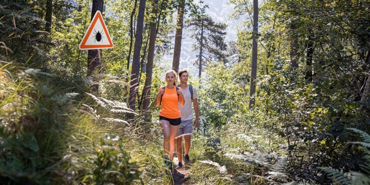 Nieuwe kaarten tonen risico encefalitis door tekenbeten