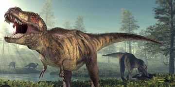 De oorsprong van de tyrannosaurus onthuld met GPS