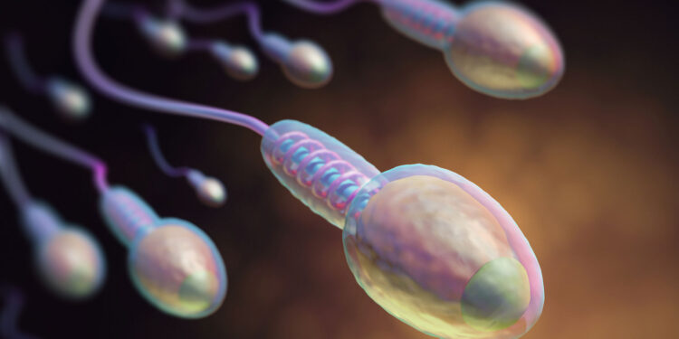 Spermadonor met zeldzame mutatie veroorzaakt kanker bij 10 Europese kinderen