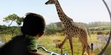 Google ontwikkelt dierenvertaalmachine