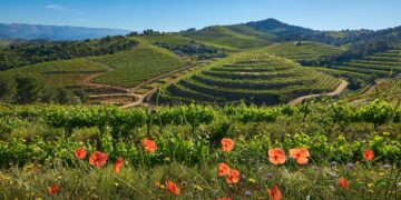 Verdwalen in de prachtige natuur van de Costa Dorada