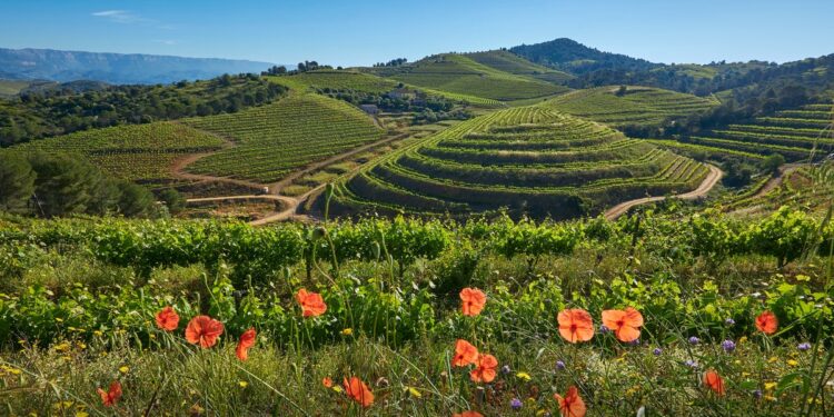 Verdwalen in de prachtige natuur van de Costa Dorada