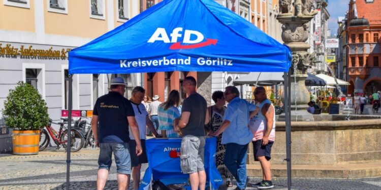 Extreemrechtse AFD: Gevaar volgens Federal Protection Service van de Grondwet