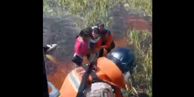 Vijf mensen overleven 36 uur in vliegtuig omringd door alligators