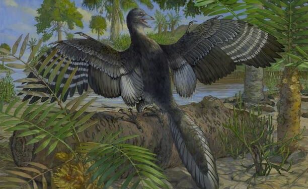 Het geheim van het aftrekken van de eerste vogels ontdekt