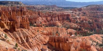 Kat overleeft val in 115 meter diepe kloof met paar