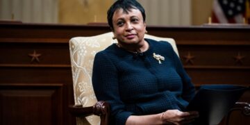 The Trump Flea: Democratisch district Librarian in Congres