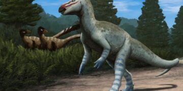 Onbekende Europese dinosaurus ontdekt