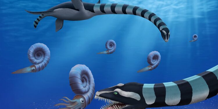 Onbekend zeemonster ontdekt voor de kust van Canada